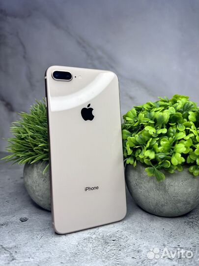 iPhone 8 Plus, 64 ГБ