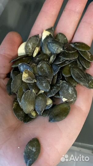 Жмых тыквенный