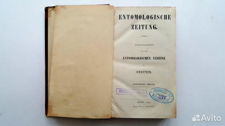 Энтомологическая газета 1855, 1856, 1857, 1858 гг