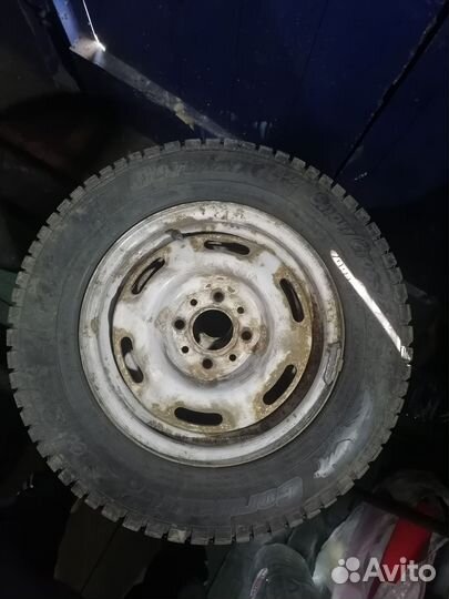 Cordiant Snow Cross 2 175/70 R13