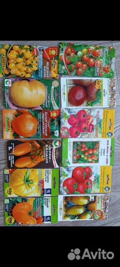 Рассада помидор, перец, капуста, баклажан, огурцы