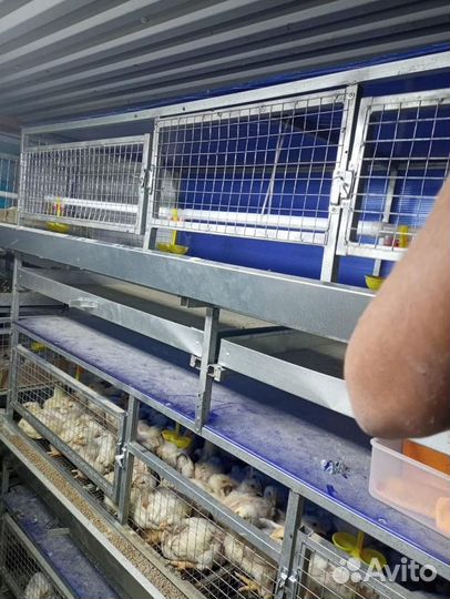 Клетки для животноводства