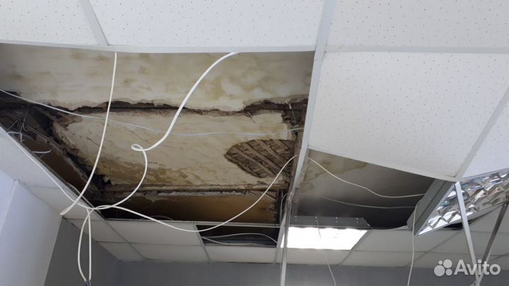 Оценка недвижимости, независимая оценка