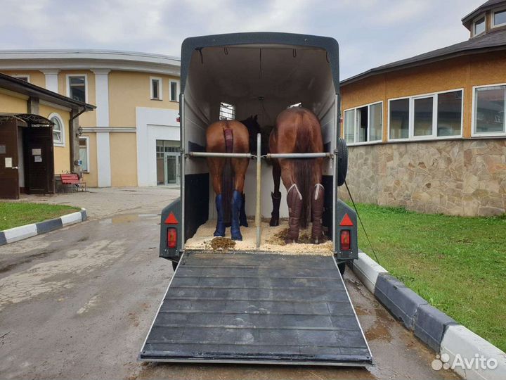 Перевозка лошадей,коневоз,конеперевозки