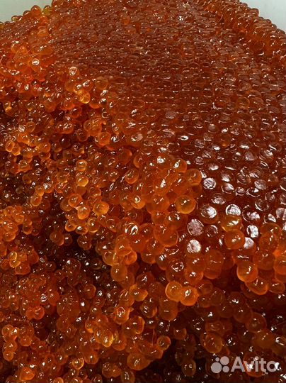 Красная икра Горбуши с Камчатки