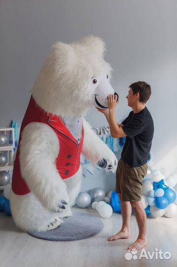 Белый мишка, поздравление, Химки