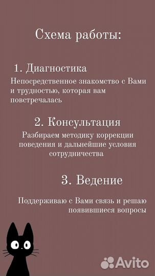 Зоопсихолог для кошки / специалист по поведению