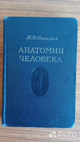 Анатомия человека