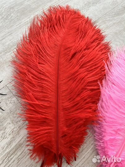 Перья страуса цветные