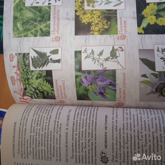 Энциклопедия лекарственных растений