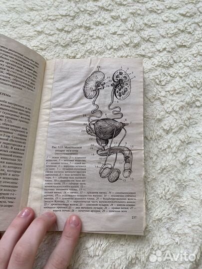 Книги по биологии Н.В.Чебышев