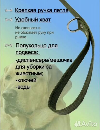 Шлейка и поводок для крупных собак (брезент)