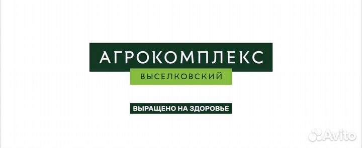 Водитель Винсады