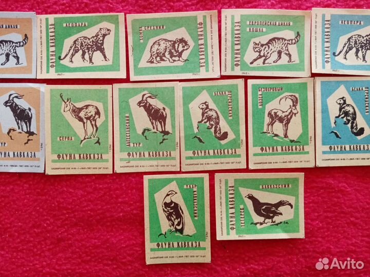 Спичечные этикетки. Фауна Кавказа