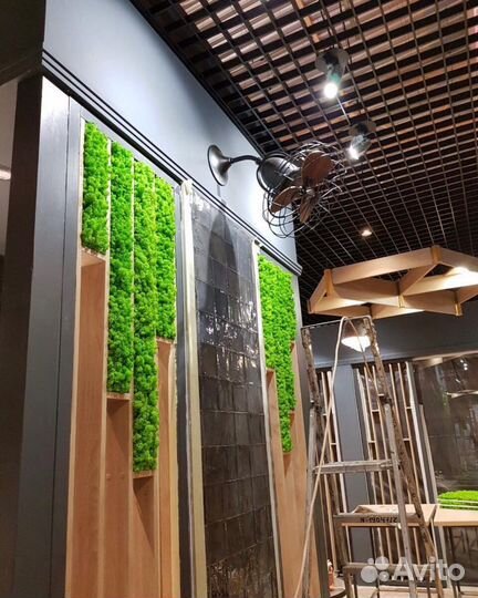 Панно из мха, вертикальное озеленение