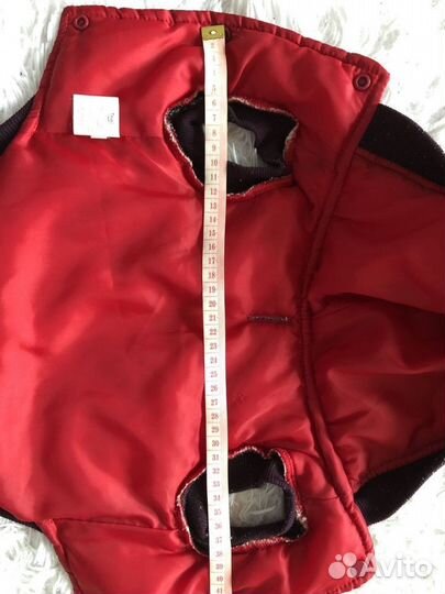 Одежда для собак