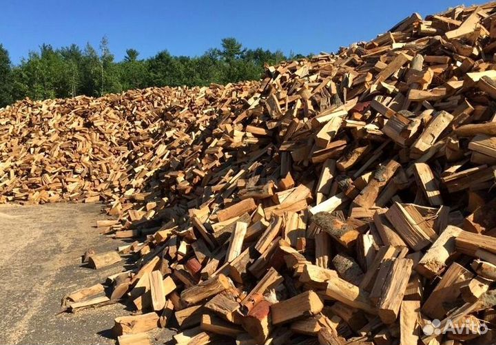 Дрова осина нарубленные