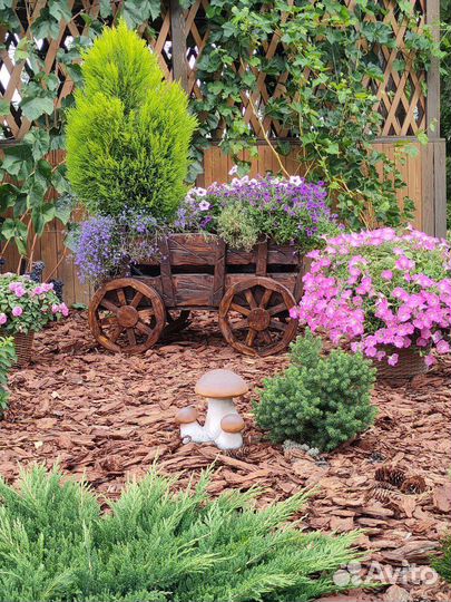 Кора лиственницы и сосны