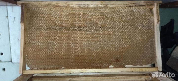 Сушь Рута на 230мм. рамки рута на 230мм