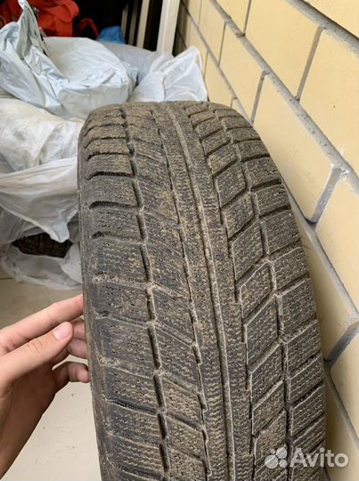 Accelera 651 20.5/55 R16