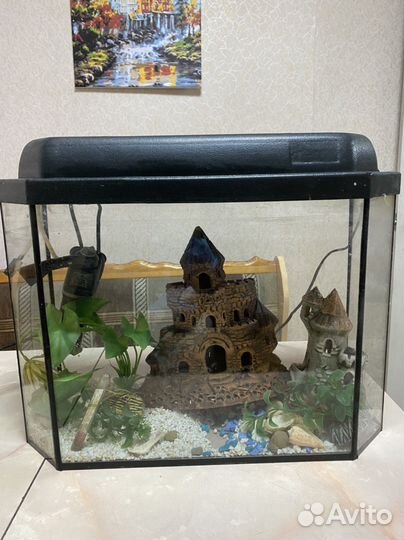 Аквариум