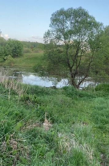 Участок 24,6 га (СНТ, ДНП)