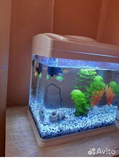 Аквариум