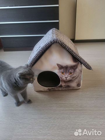 Кошачий домик