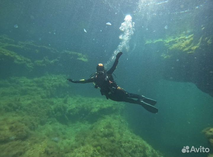 Дайвинг трансфер бесплатно