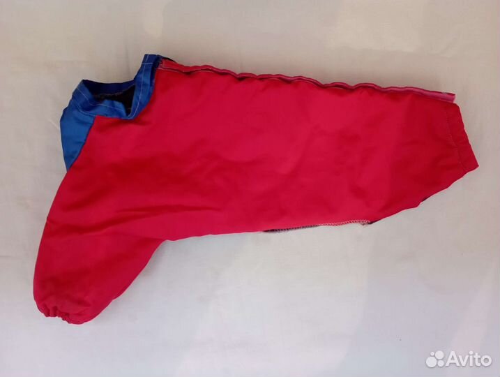 Одежда мелким собакам