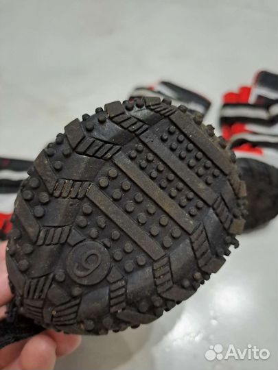 Ботинки для большой собаки