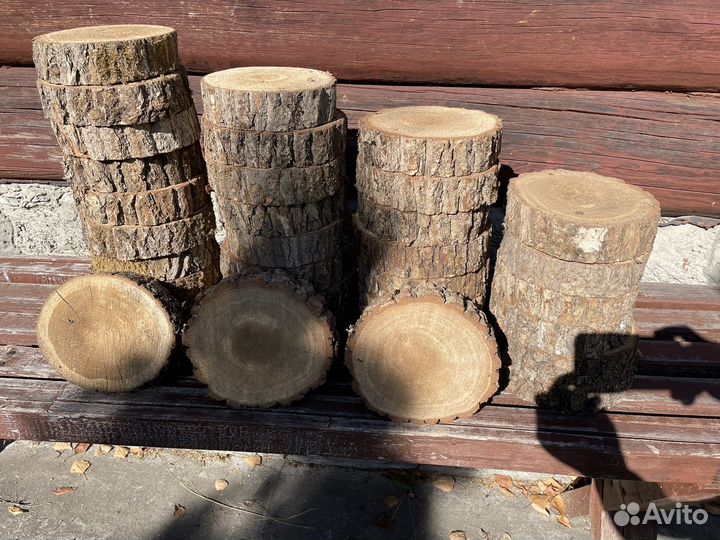 Спилы хвойные и березовые