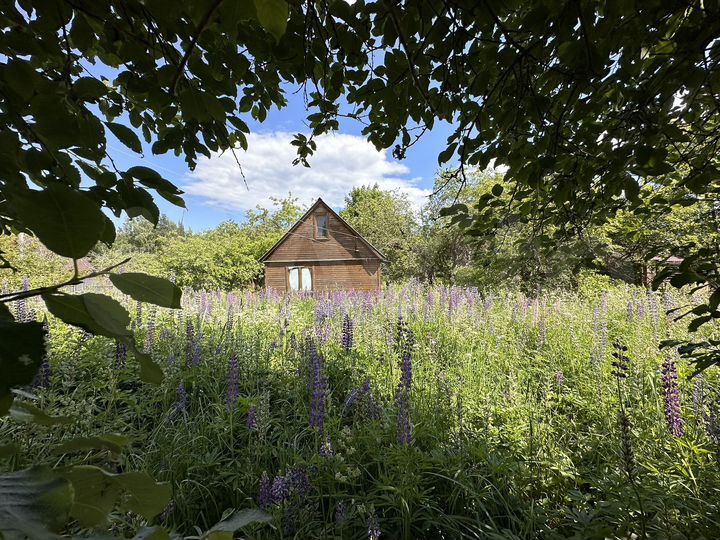 Участок 8 сот. (СНТ, ДНП)