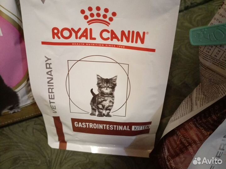 Корм для котят royal canin