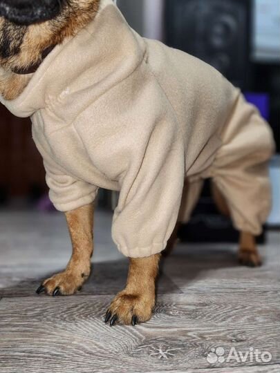 Пошив одежды для собак