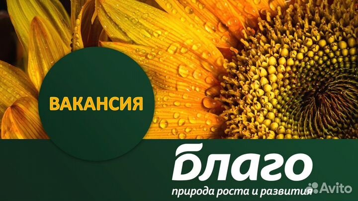 Оператор производственного участка