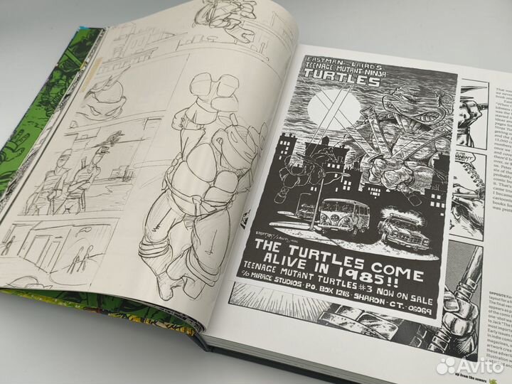 Teenage Mutant Ninja Turtles: The Ultimate Visual