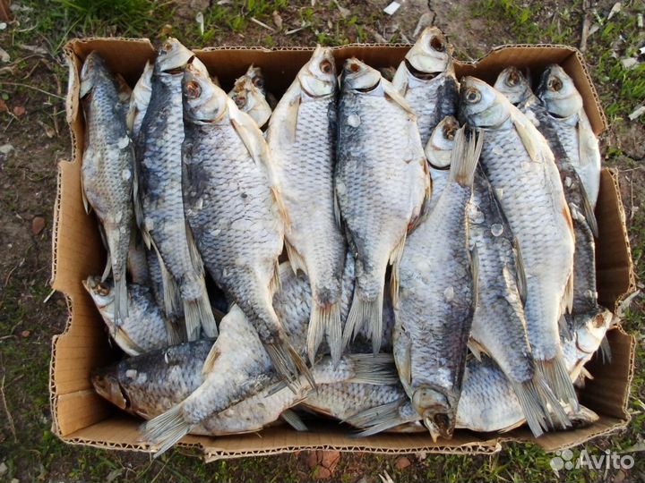 Вяленая рыба