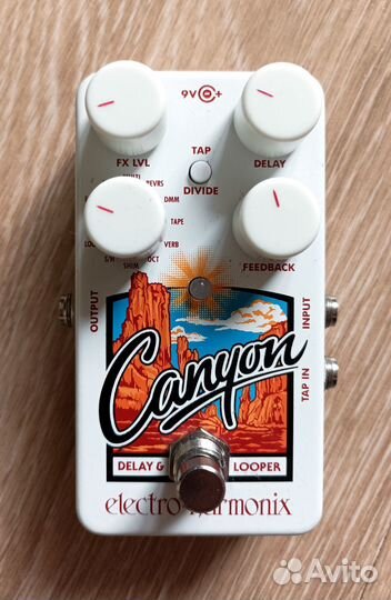 Electro-Harmonix (EHX) Canyon Delay & Looper