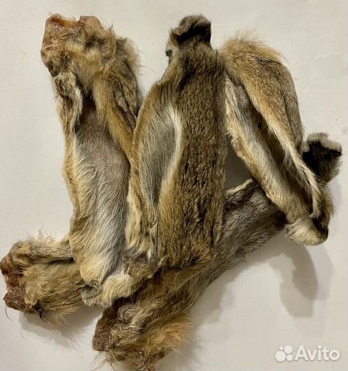 Сушеные лакомства для собак