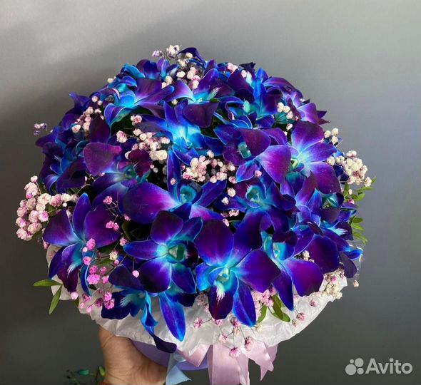 Шляпная коробка с дендробиумом и гипсофилой