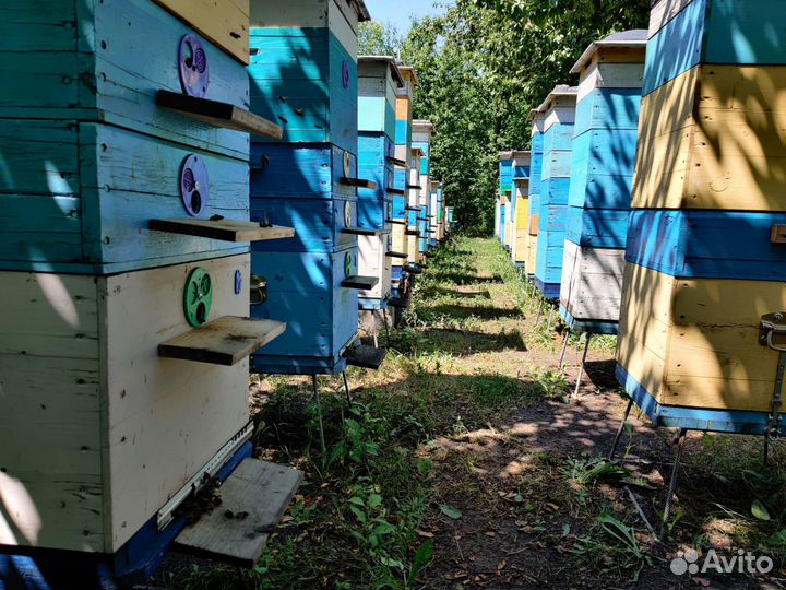 Подставки под ульи для пчел