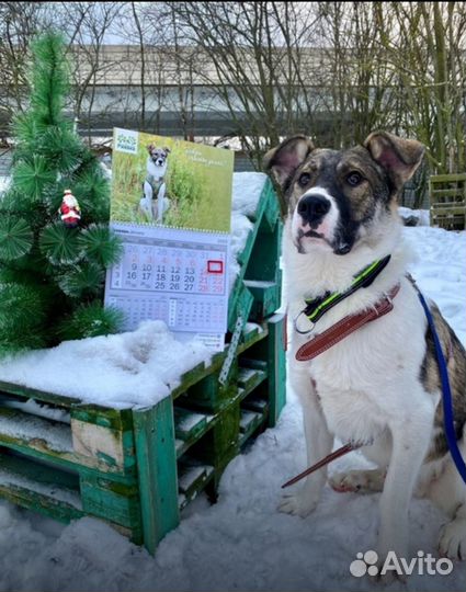 Забери меня домой