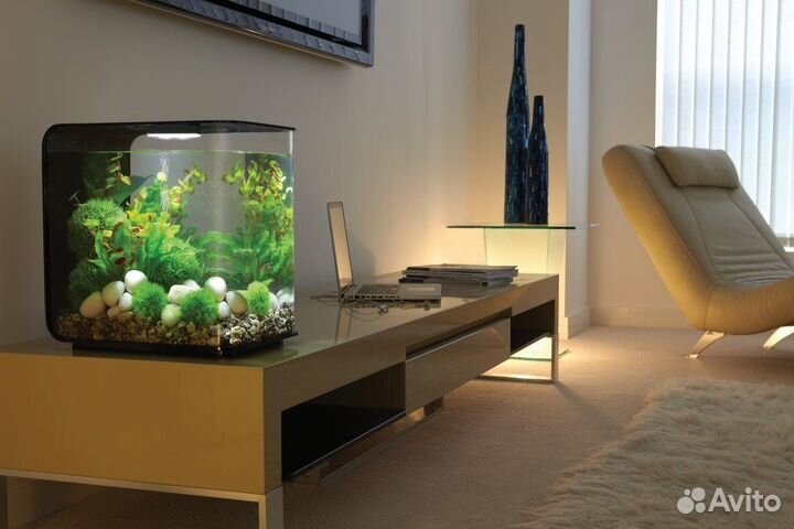 Чистка аквариума, изготовление, перевозка, монтаж