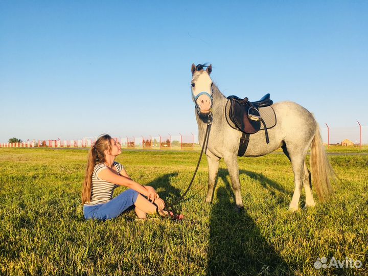 Обучение верховой езде