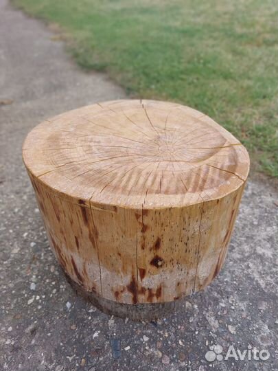 Спилы дерева для декора кедр и ангарская сосна