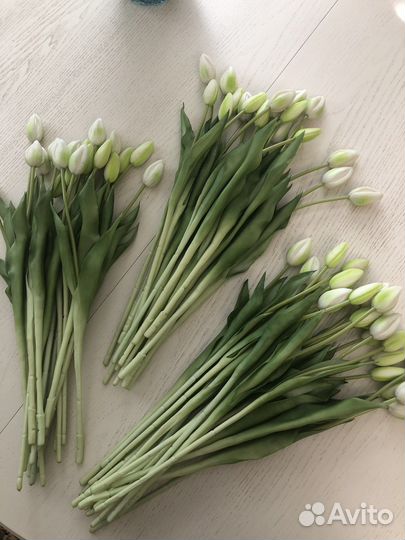 Тюльпаны Kuchenland 21 шт