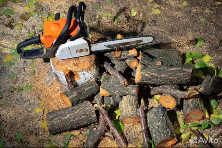 Спил и удаление деревьев