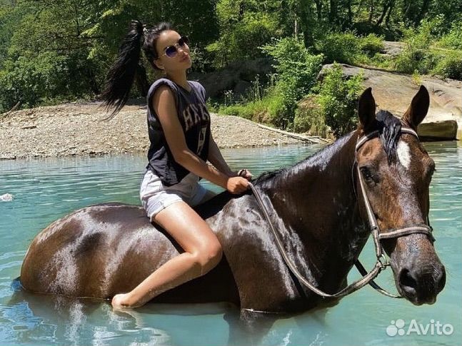 Конные прогулки Адлер, Сочи. Трансфер включен