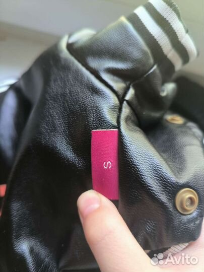 Одежда для собак